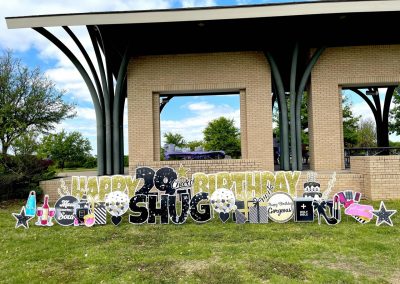 Happy 29th Birthday Yard Sign Rental
