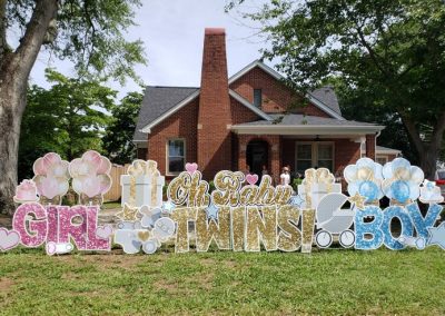 Twin Birth Announcement Lawn Sign Lexington, SC