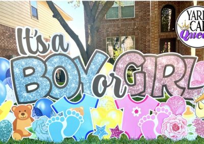 Gender Reveal Yard Sign Rental San Antonio Texas